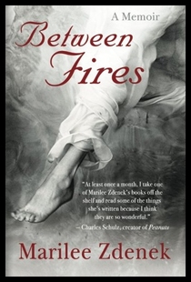 Fires Between 预售