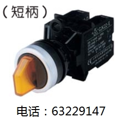 长江电器 按钮开关 CJK22-11X2D