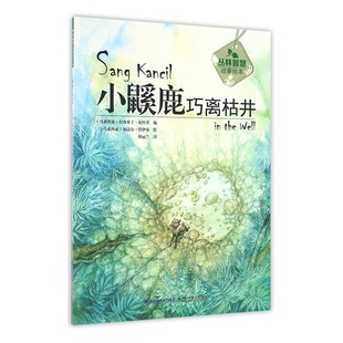 书 小鼷鹿巧离枯井 博物馆学书籍 拉西米丁·扎哈里 畅想畅销书 书店