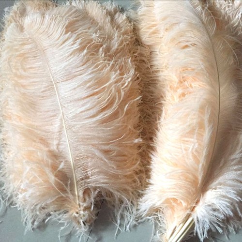 香槟色鸵鸟羽毛天瑞天然真羽毛