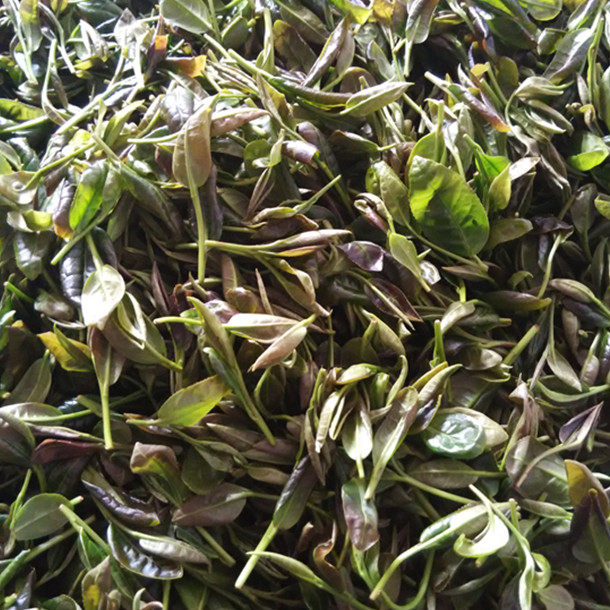 新茶 佛手红茶,红茶类醇和回甘甘甜250g包邮