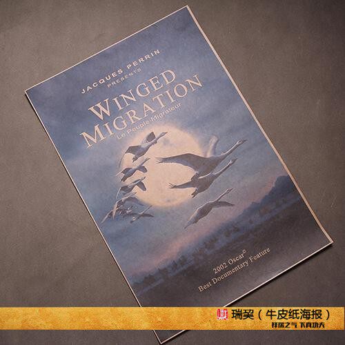 纪录片海报 迁徙的鸟 jacques perrin 雅克贝汉作品 候鸟与梦飞行