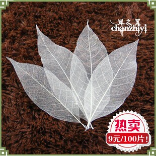 天然玉兰树叶标本干花书签diy材料包叶脉书签材料拍摄道具摆件