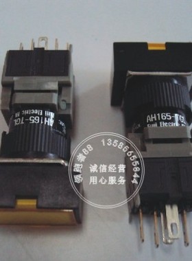 原装正品富士  防水/防油/带灯/护罩按钮AH165-TGLO11E3