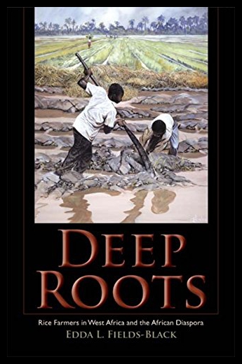 美国库房发货，通常付款后5-8周到货！