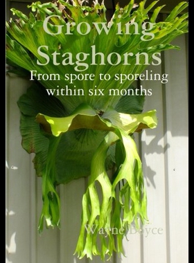 【预售】Growing Staghorns from Spore