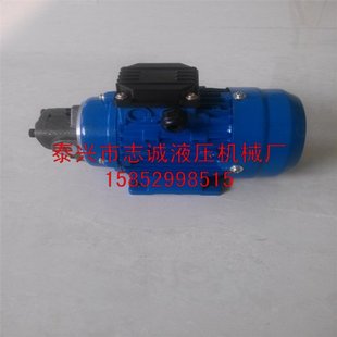 2.5JZ 1.6JZ 3.15JZ 380V 置 RHB 220V微型油泵装 1JZ