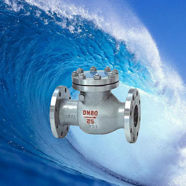 上海沪工 法兰铸钢止回阀 旋启式止回H44H-25C DN65