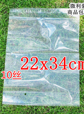 PE自粘袋 高档服装包装袋 塑料袋 加厚pe袋子10丝22x34cm 100个