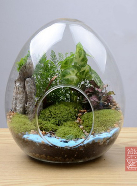微景观多肉植物城堡玻璃瓶