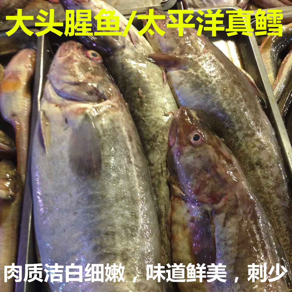 大头腥鱼图片,鳕鱼(第2页)_大山谷图库