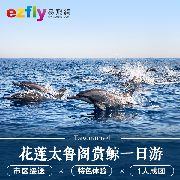 台湾旅游花莲赏鲸太鲁阁一日游清水断崖七星潭鲸豚亲子市区接送 旅游度假 飞猪