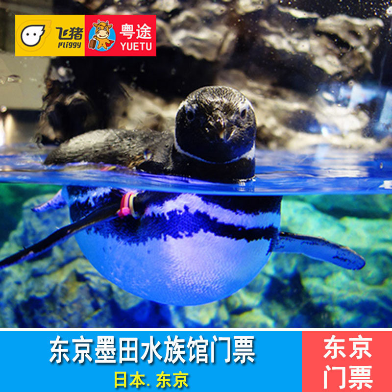 [墨田水族馆-大门票]东京晴空塔墨田水族馆 海洋世界