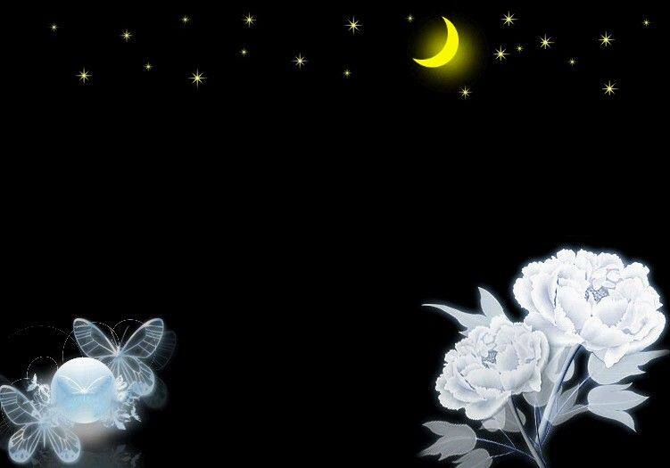 Slip doux en coton - Ref 650828 Image 1