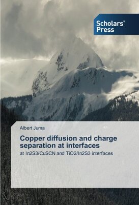 【预售】Copper Diffusion and Charge Separati...