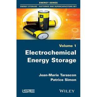 【预订】Electrochemical Energy Storage