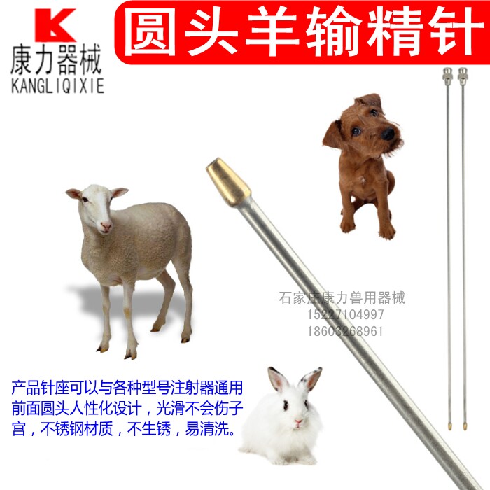 羊狗人工受精器械羊狗用鲜精输精针输精枪提高受孕率圆头不伤子宫