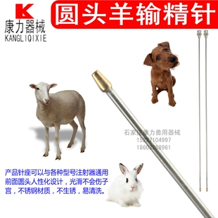 羊狗人工受精器械羊狗用鲜精输精针输精枪提高受孕率圆头不伤子宫