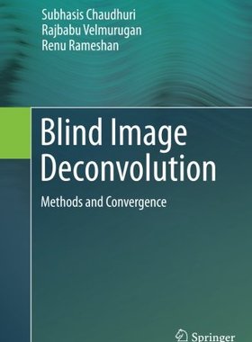 【预订】Blind Image Deconvolution: Methods a...