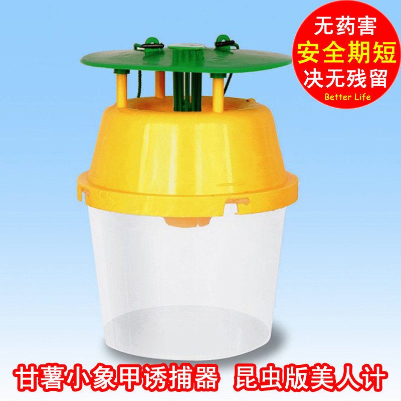 甘薯小象甲虫诱捕器 甘薯小象甲信息诱芯 昆虫信息素 昆虫性诱剂