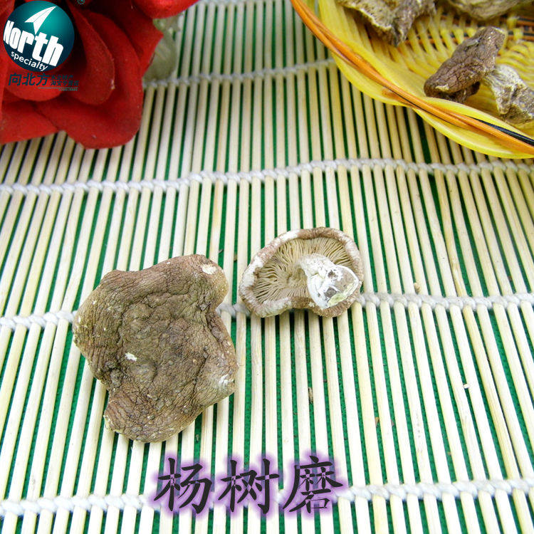 东北特产 野生蘑菇 野生杨树磨菇  杨树磨 杨树口蘑 干货包邮