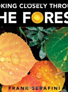 【预售】Looking Closely Through the Forest