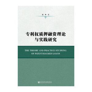 *权质押融资理论与实践研究
