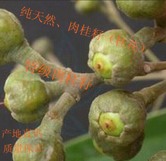 肉桂花 桂皮 肉桂 紫油桂 桂粉 桂丁 特级肉桂花 调味 药材 250g