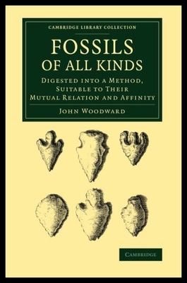 【预售】Fossils of All Kinds: Digested Into a Method, Sui