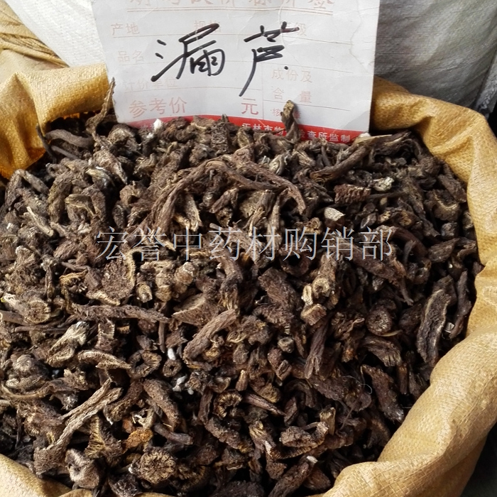 漏芦 中药材 狼头花 野生正品 干货500克