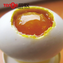 田歌 熟咸鸭蛋流油70g*20枚咸蛋黄高油即食红心鸭蛋盐蛋非海鸭蛋