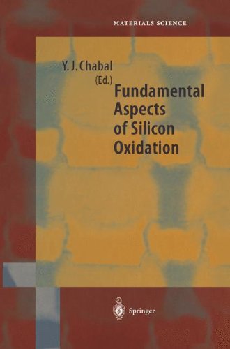 【预订】Fundamental Aspects of Silicon Oxidation 书籍/杂志/报纸 科普读物/自然科学/技术类原版书 原图主图