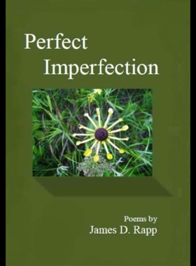 【预售】Perfect Imperfection
