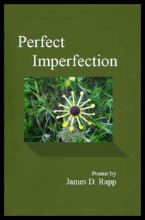 Perfect Imperfection 预售
