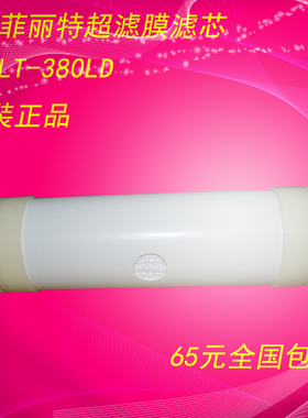 菲丽特中空纤维膜滤芯