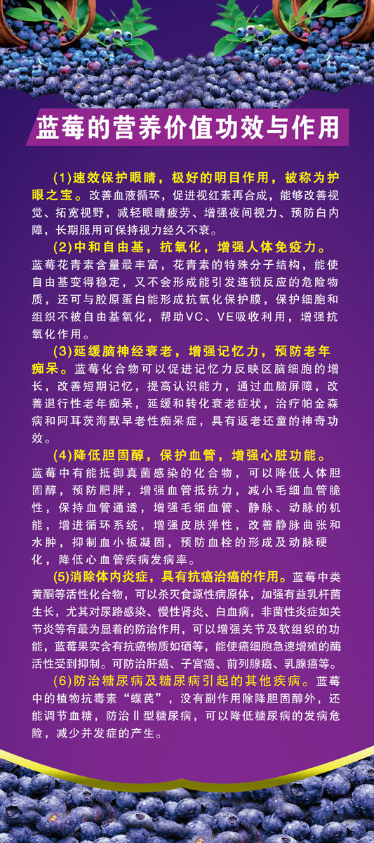 744海报印制展板写真喷绘贴纸601蓝莓的营养价值功效与作用