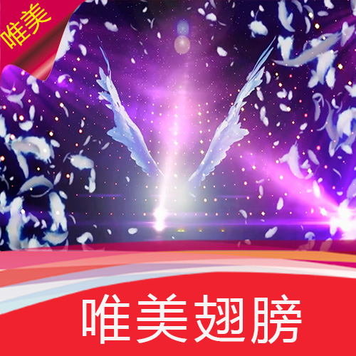 维多利亚的秘密 唯美翅膀 走秀T台背景 羽毛灯光 视频素材