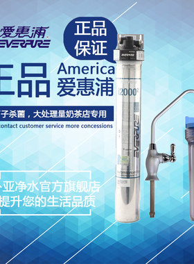 美国爱惠浦 I20002 i2000(2) I2000平方 净水器 奶茶店咖啡店用