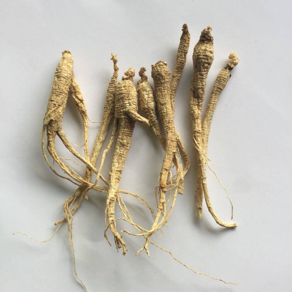 林下参长白山小山参残肢小人参横纹250克非野山参泡酒泡水煲汤