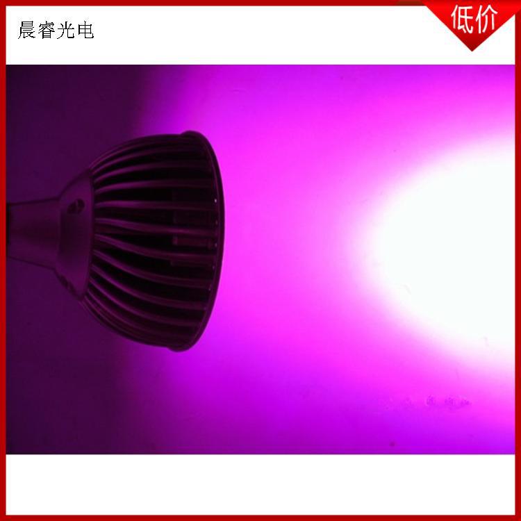 粉红色LED3W水果生鲜 猪肉照明 灯用灯珠金线铜支架硅胶
