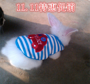 小宠物兔衣服 垂耳兔 狮子兔  道奇兔子小衣服 小狗猫衣服 可包邮