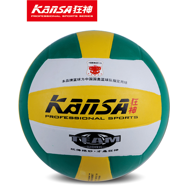 Ballon de volley - Ref 2016720 Image 1