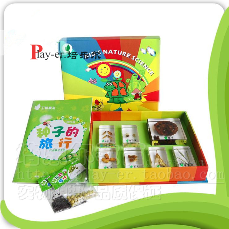 蝴蝶成长记幼儿园儿童科学实验室蝴蝶成长过程及生活习性包埋标本