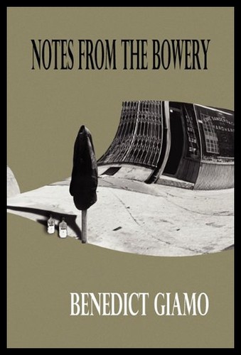 美国库房发货，通常付款后5-8周到货！