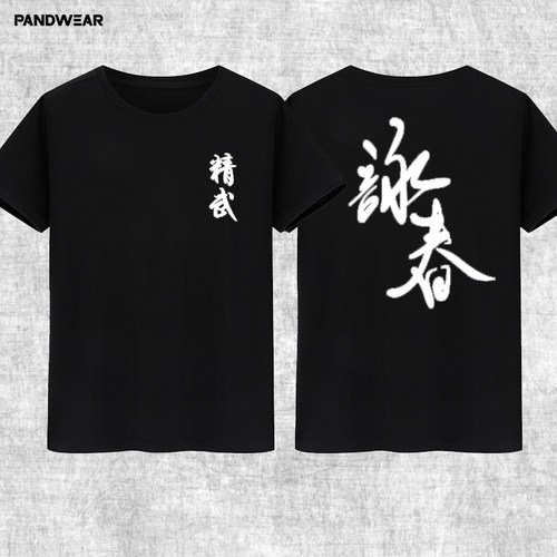 攀威中术风武术春馆叶晨练春拳