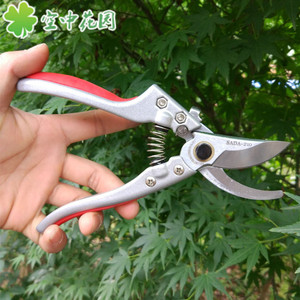 新进口园艺工具修枝剪刀 树枝剪修果树剪刀 修花剪粗枝剪 园林剪
