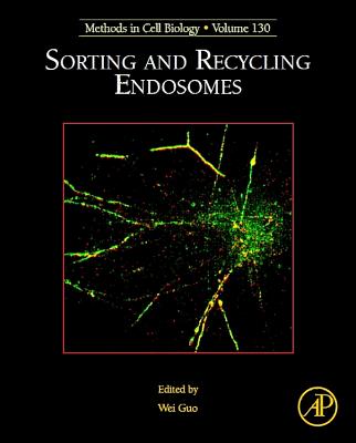 【预售】Sorting and Recycling Endosomes