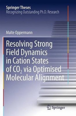 【预订】Resolving Strong Field Dynamics in C...