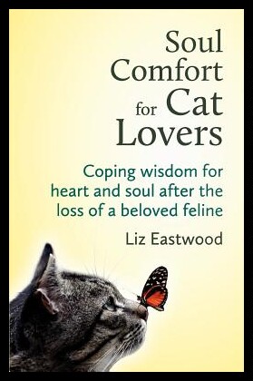 美国库房发货，通常付款后5-8周到货！