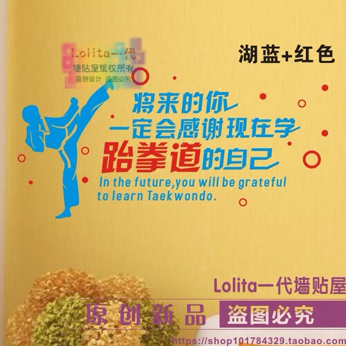 将来的你感谢跆拳道武术装饰贴纸